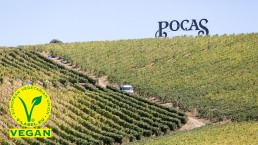 Pocas Junior Label Vegan Vin Douro et Porto Portugal